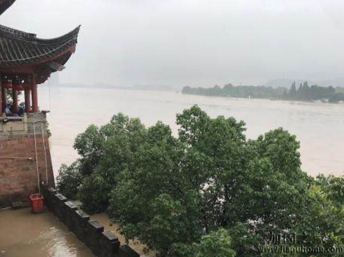 錢塘江暴發(fā)大洪水，植筋加固過的房屋能撐得住嗎