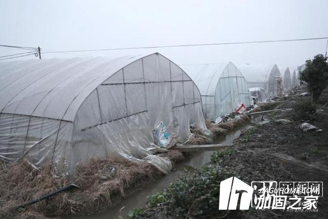 大雪來臨加固大棚 減少農(nóng)業(yè)損失！