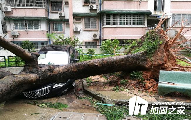 臺風(fēng)“山竹”對建筑物造成多大的影響？